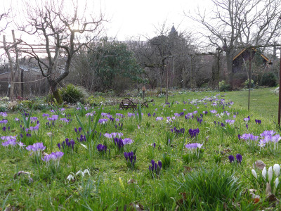 2020-03-05 Garteneinblick 1.jpg
