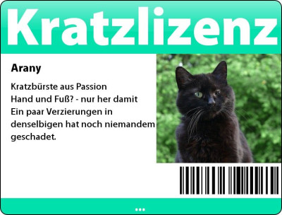 katzenlizenz.jpg