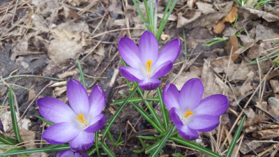 20200308_120258.jpg