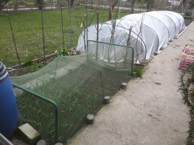 Salat200308-5.jpg