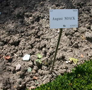 August_Noack_14069_79.jpg