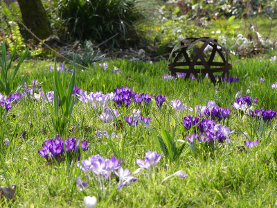 2020-03-08 Gartenimpressionen 6.jpg