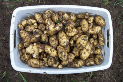 K640_100_3923.JPG
