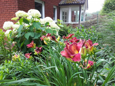 20180624_100302.jpg
