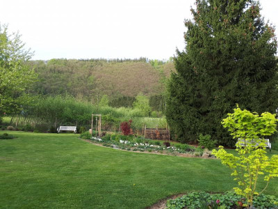 20190426_185920.jpg