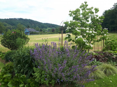 20190618_162229.jpg