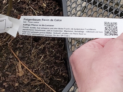 20200311_155023.jpg