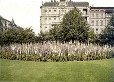 SB064_1.jpg