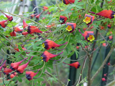 P1160754.JPG
