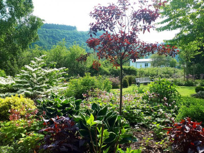 20190524_101028.jpg