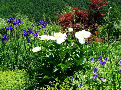 20190607_132726.jpg