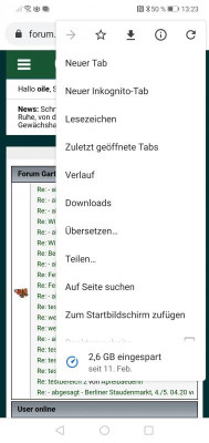 Screenshot_20200312_132303_com.android.chrome.jpg