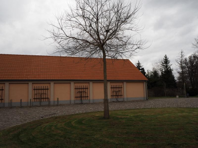 Schnurbaum 13.3.20 ue.JPG
