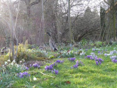2020-03-12 Laufis 3.jpg