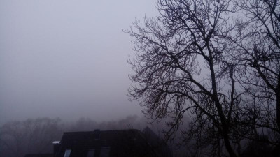 20200314_063818.jpg