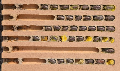 nisthilfe_wildbienen_01.jpg