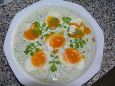 gruenesosse5.jpg