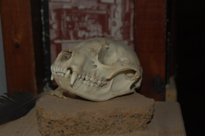 DSC_6897.JPG