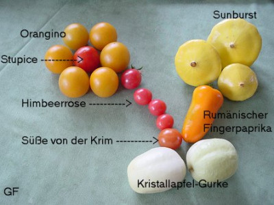 Gemischt2007_07_26.jpg