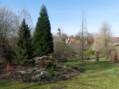 2020-03-15 Birkenhain 4.jpg