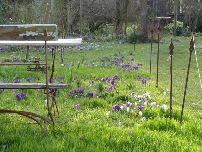 2020-03-15 Gartenimpressionen 4.jpg