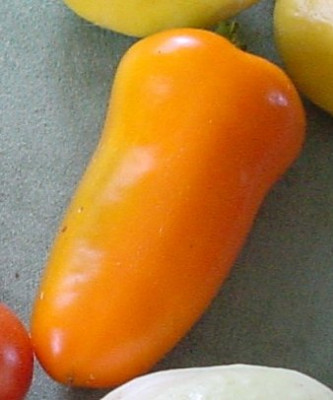 Paprika_Rumanischer_Finger.jpg