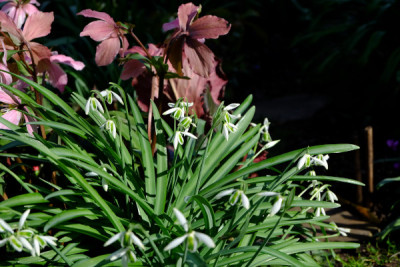 DSCF1682_4625.JPG