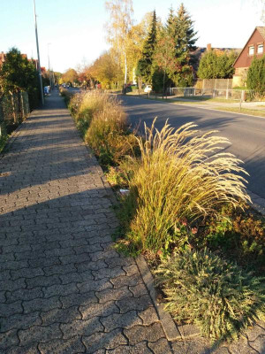 2018heidestadt.jpg