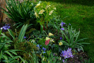DSCF1717_4631.JPG