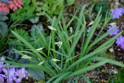 DSCF1711_4630.JPG
