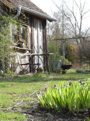 2020-03-18 Gartenimpressionen 1.jpg