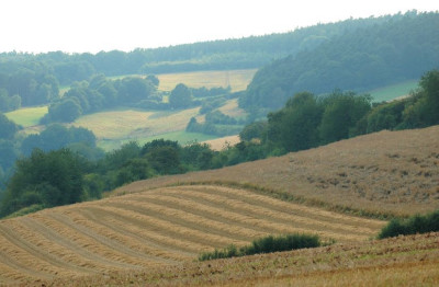 Juli-Ansichten_10_25-07-2007.jpg