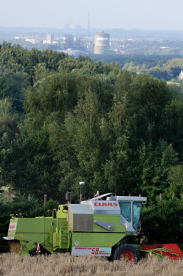 Ruhrpott-zur-Erntezeit-k.jpg
