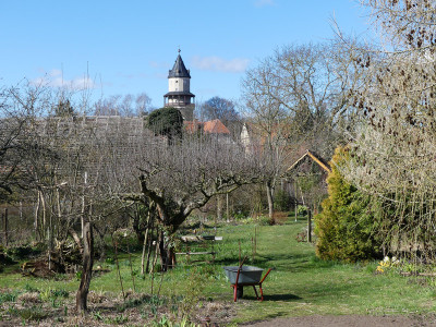 2020-03-22 Garteneinblick 3.jpg