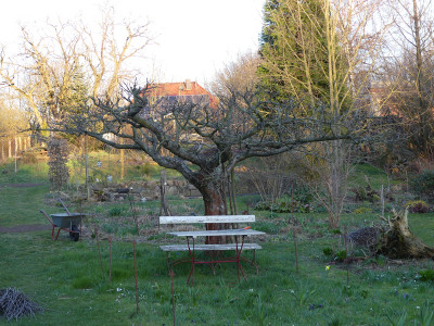 2020-03-22 Garteneinblick 4.jpg