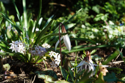 DSC09218.JPG