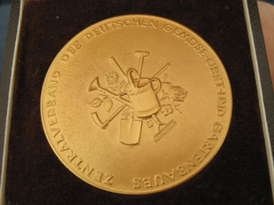 Rosenkonigin-Peters-Medaille3.jpg