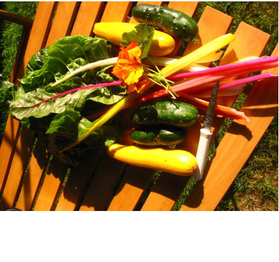 Ernte_28.07.07.jpg