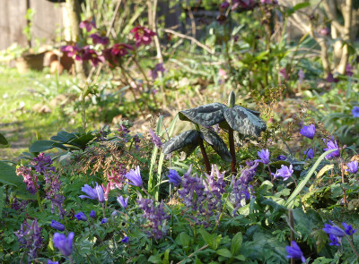 2020-03-26 Gartenimpressionen 7.jpg