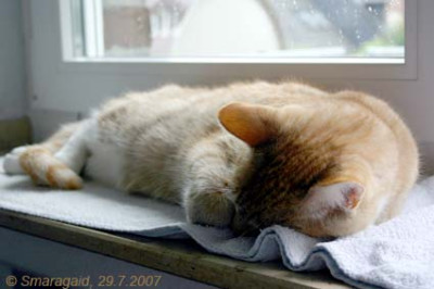 Ron_8821.jpg