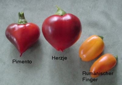 Paprika_2007_07_29.jpg