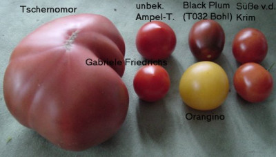 Tomaten_2007_07_29.jpg