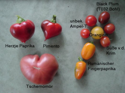 Ernte_2007_07_29.jpg
