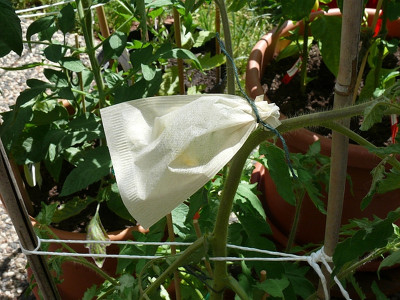 200329_Verhüterli.jpg