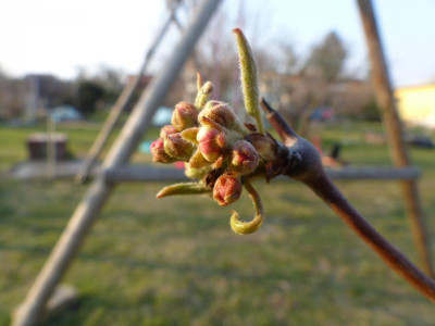 P1110514.JPG