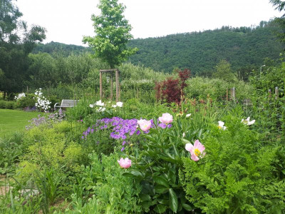 20190618_162307.jpg