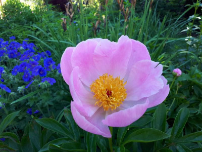 20190613_102418.jpg