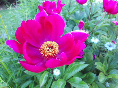 20190613_102349.jpg