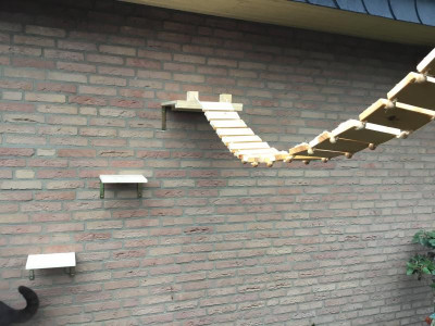 IMG-0654.jpg
