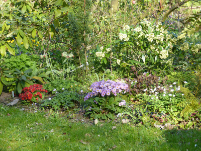 2019-04-20 Garteneinblick 1.jpg